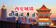 大屌插美女中国陕西-西安城墙旅游风景区